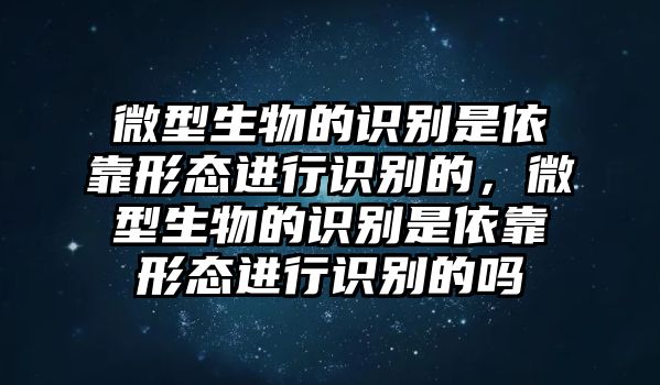 微型生物的識別是依靠形態(tài)進行識別的，微型生物的識別是依靠形態(tài)進行識別的嗎