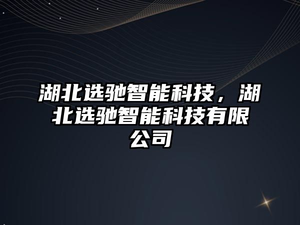 湖北選馳智能科技，湖北選馳智能科技有限公司