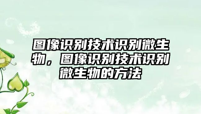 圖像識(shí)別技術(shù)識(shí)別微生物，圖像識(shí)別技術(shù)識(shí)別微生物的方法