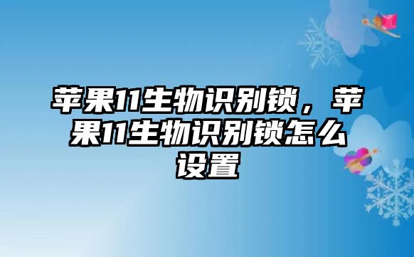 蘋果11生物識(shí)別鎖，蘋果11生物識(shí)別鎖怎么設(shè)置