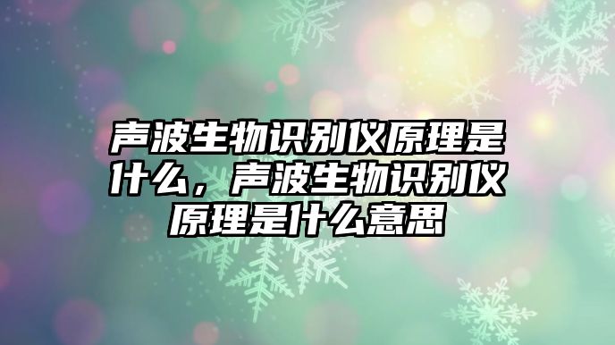 聲波生物識別儀原理是什么，聲波生物識別儀原理是什么意思