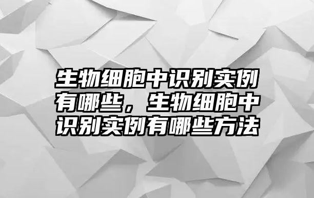 生物細(xì)胞中識(shí)別實(shí)例有哪些，生物細(xì)胞中識(shí)別實(shí)例有哪些方法