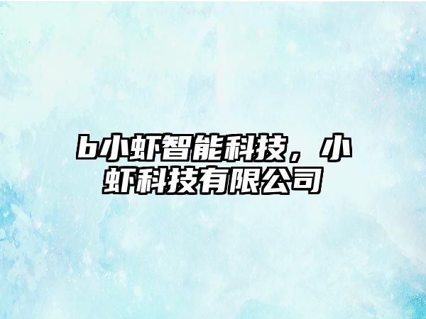 b小蝦智能科技，小蝦科技有限公司