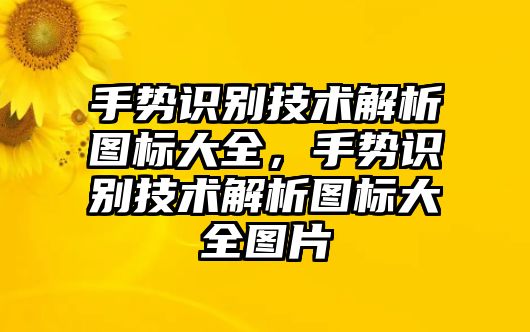 手勢識別技術解析圖標大全，手勢識別技術解析圖標大全圖片