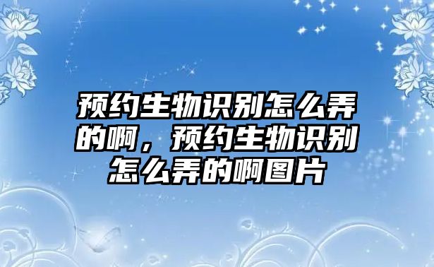 預(yù)約生物識(shí)別怎么弄的啊，預(yù)約生物識(shí)別怎么弄的啊圖片