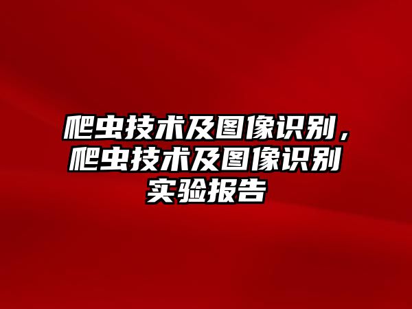 爬蟲技術(shù)及圖像識(shí)別，爬蟲技術(shù)及圖像識(shí)別實(shí)驗(yàn)報(bào)告