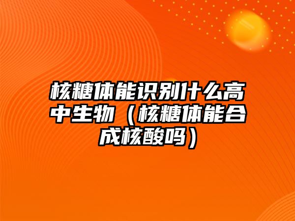 核糖體能識(shí)別什么高中生物（核糖體能合成核酸嗎）