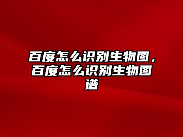 百度怎么識(shí)別生物圖，百度怎么識(shí)別生物圖譜