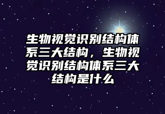 生物視覺識(shí)別結(jié)構(gòu)體系三大結(jié)構(gòu)，生物視覺識(shí)別結(jié)構(gòu)體系三大結(jié)構(gòu)是什么