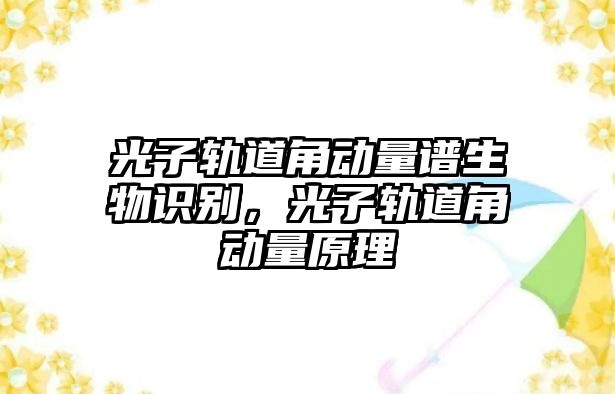 光子軌道角動量譜生物識別，光子軌道角動量原理