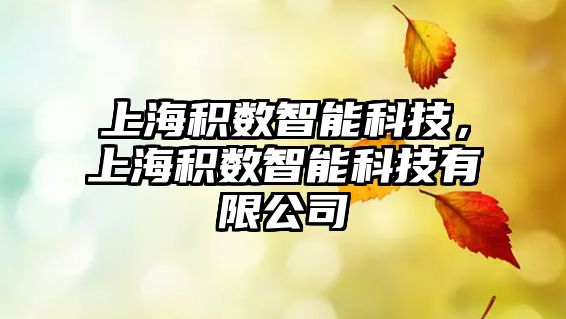 上海積數(shù)智能科技，上海積數(shù)智能科技有限公司