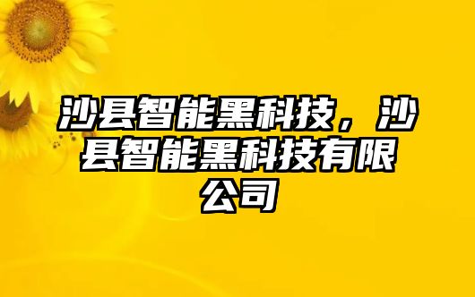 沙縣智能黑科技，沙縣智能黑科技有限公司