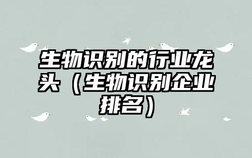 生物識(shí)別的行業(yè)龍頭（生物識(shí)別企業(yè)排名）